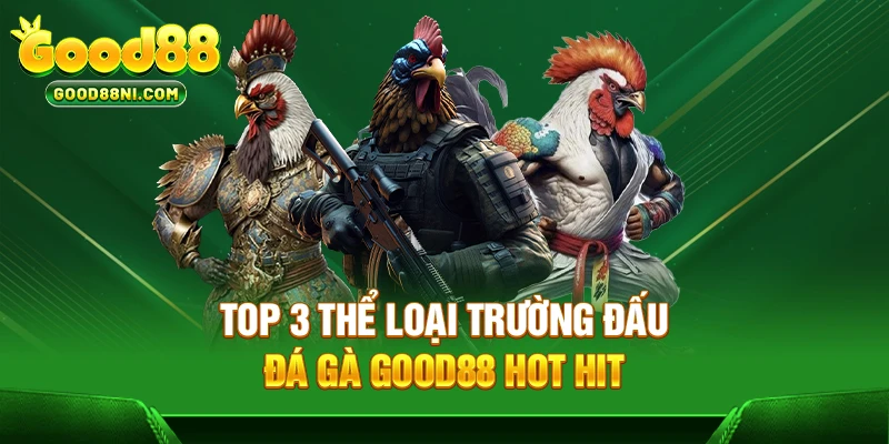 Top 3 thể loại trường đấu đá gà GOOD88 hot hit