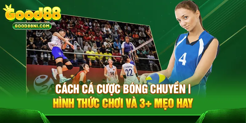 Cá Cược Bóng Chuyền