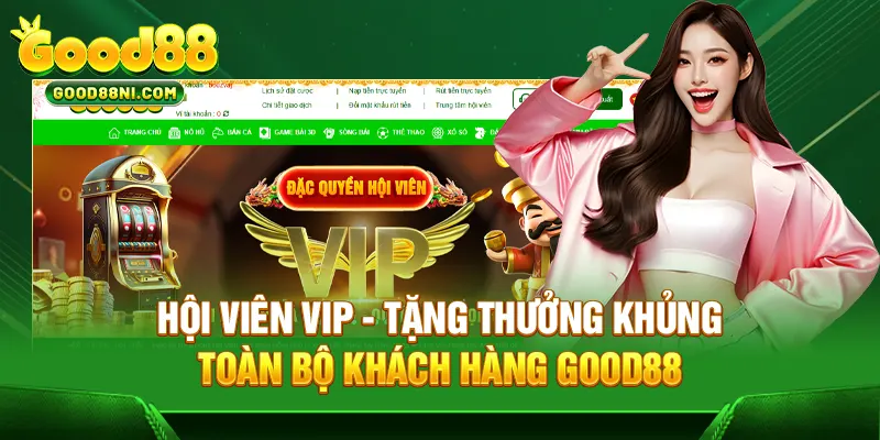 Hội viên VIP