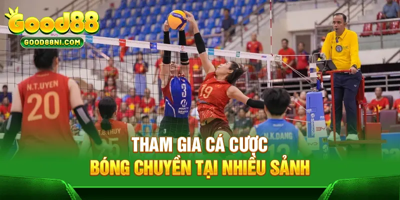 Tham gia cá cược bóng chuyền tại nhiều sảnh