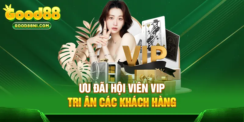 Ưu đãi hội viên VIP tri ân các khách hàng