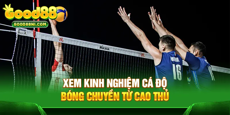 Xem kinh nghiệm cá độ bóng chuyền từ cao thủ